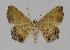  ( - BC EF Alc 00179)  @12 [ ] Copyright (2010) Unspecified Research Collection of Egbert Friedrich