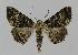  ( - BC EF Alc 00180)  @13 [ ] Copyright (2010) Unspecified Research Collection of Egbert Friedrich