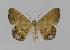  ( - BC EF Alc 00192)  @13 [ ] Copyright (2010) Unspecified Research Collection of Egbert Friedrich