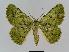  ( - BC EF Alc 00197)  @14 [ ] Copyright (2010) Unspecified Research Collection of Egbert Friedrich