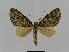  ( - BC EF Alc 00209)  @13 [ ] Copyright (2010) Unspecified Research Collection of Egbert Friedrich