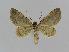  ( - BC EF Alc 00209)  @12 [ ] Copyright (2010) Unspecified Research Collection of Egbert Friedrich