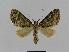  ( - BC EF Alc 00210)  @13 [ ] Copyright (2010) Unspecified Research Collection of Egbert Friedrich