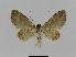  ( - BC EF Alc 00210)  @12 [ ] Copyright (2010) Unspecified Research Collection of Egbert Friedrich