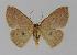  ( - BC EF Alc 00212)  @13 [ ] Copyright (2010) Unspecified Research Collection of Egbert Friedrich