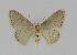  ( - BC EF Alc 00231)  @13 [ ] Copyright (2010) Unspecified Research Collection of Egbert Friedrich