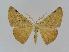 ( - BC EF Alc 00233)  @13 [ ] Copyright (2010) Unspecified Research Collection of Egbert Friedrich