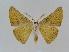  ( - BC EF Alc 00233)  @12 [ ] Copyright (2010) Unspecified Research Collection of Egbert Friedrich