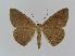  ( - BC EF Alc 00238)  @14 [ ] Copyright (2010) Unspecified Research Collection of Egbert Friedrich