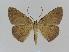  ( - BC EF Alc 00238)  @13 [ ] Copyright (2010) Unspecified Research Collection of Egbert Friedrich