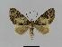  ( - BC EF Alc 00240)  @13 [ ] Copyright (2010) Unspecified Research Collection of Egbert Friedrich