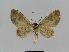  ( - BC EF Alc 00240)  @12 [ ] Copyright (2010) Unspecified Research Collection of Egbert Friedrich