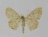  ( - BC EF Alc 00241)  @13 [ ] Copyright (2010) Unspecified Research Collection of Egbert Friedrich