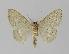  ( - BC EF Alc 00241)  @12 [ ] Copyright (2010) Unspecified Research Collection of Egbert Friedrich