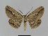  ( - BC EF Alc 00250)  @14 [ ] Copyright (2010) Unspecified Research Collection of Egbert Friedrich
