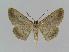  ( - BC EF Alc 00250)  @13 [ ] Copyright (2010) Unspecified Research Collection of Egbert Friedrich