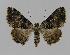  ( - BC EF Alc 00254)  @13 [ ] Copyright (2010) Unspecified Research Collection of Egbert Friedrich