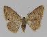  ( - BC EF Alc 00258)  @13 [ ] Copyright (2010) Unspecified Research Collection of Egbert Friedrich