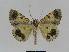  ( - BC EF Alc 00267)  @13 [ ] Copyright (2010) Unspecified Research Collection of Egbert Friedrich