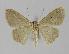  ( - BC EF Alc 00272)  @11 [ ] Copyright (2010) Unspecified Research Collection of Egbert Friedrich
