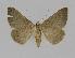 ( - BC EF Alc 00275)  @13 [ ] Copyright (2010) Unspecified Research Collection of Egbert Friedrich