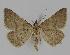  ( - BC EF Alc 00277)  @13 [ ] Copyright (2010) Unspecified Research Collection of Egbert Friedrich