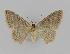  ( - BC EF Alc 00280)  @13 [ ] Copyright (2010) Unspecified Research Collection of Egbert Friedrich