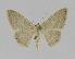  ( - BC EF Alc 00281)  @13 [ ] Copyright (2010) Unspecified Research Collection of Egbert Friedrich