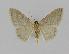  ( - BC EF Alc 00281)  @13 [ ] Copyright (2010) Unspecified Research Collection of Egbert Friedrich