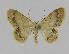  ( - BC EF Alc 00282)  @14 [ ] Copyright (2010) Unspecified Research Collection of Egbert Friedrich