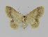  ( - BC EF Alc 00282)  @13 [ ] Copyright (2010) Unspecified Research Collection of Egbert Friedrich