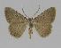  ( - BC EF Alc 00284)  @13 [ ] Copyright (2010) Unspecified Research Collection of Egbert Friedrich