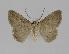  ( - BC EF Alc 00284)  @12 [ ] Copyright (2010) Unspecified Research Collection of Egbert Friedrich