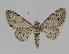  ( - BC EF Alc 00285)  @14 [ ] Copyright (2010) Unspecified Research Collection of Egbert Friedrich