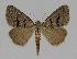  ( - BC EF Alc 00291)  @14 [ ] Copyright (2010) Unspecified Research Collection of Egbert Friedrich
