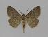  ( - BC EF Alc 00291)  @13 [ ] Copyright (2010) Unspecified Research Collection of Egbert Friedrich