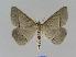  ( - BC EF Alc 00298)  @14 [ ] Copyright (2010) Unspecified Research Collection of Egbert Friedrich