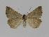  ( - BC EF Alc 00305)  @13 [ ] Copyright (2010) Unspecified Research Collection of Egbert Friedrich