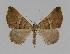  ( - BC EF Alc 00306)  @13 [ ] Copyright (2010) Unspecified Research Collection of Egbert Friedrich