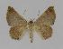  ( - BC EF Alc 00306)  @13 [ ] Copyright (2010) Unspecified Research Collection of Egbert Friedrich