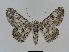  ( - BC EF Alc 00312)  @14 [ ] Copyright (2010) Unspecified Research Collection of Egbert Friedrich