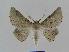  ( - BC EF Alc 00314)  @13 [ ] Copyright (2010) Unspecified Research Collection of Egbert Friedrich