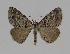  ( - BC EF Alc 00318)  @14 [ ] Copyright (2010) Unspecified Research Collection of Egbert Friedrich