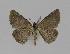  ( - BC EF Alc 00318)  @14 [ ] Copyright (2010) Unspecified Research Collection of Egbert Friedrich