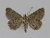  ( - BC EF Alc 00319)  @13 [ ] Copyright (2010) Unspecified Research Collection of Egbert Friedrich