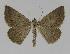  ( - BC EF Alc 00324)  @13 [ ] Copyright (2010) Unspecified Research Collection of Egbert Friedrich