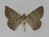  ( - BC EF Alc 00324)  @13 [ ] Copyright (2010) Unspecified Research Collection of Egbert Friedrich