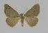  ( - BC EF Alc 00326)  @13 [ ] Copyright (2010) Unspecified Research Collection of Egbert Friedrich
