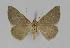  ( - BC EF Alc 00326)  @13 [ ] Copyright (2010) Unspecified Research Collection of Egbert Friedrich