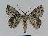  ( - BC EF Alc 00327)  @14 [ ] Copyright (2010) Unspecified Research Collection of Egbert Friedrich